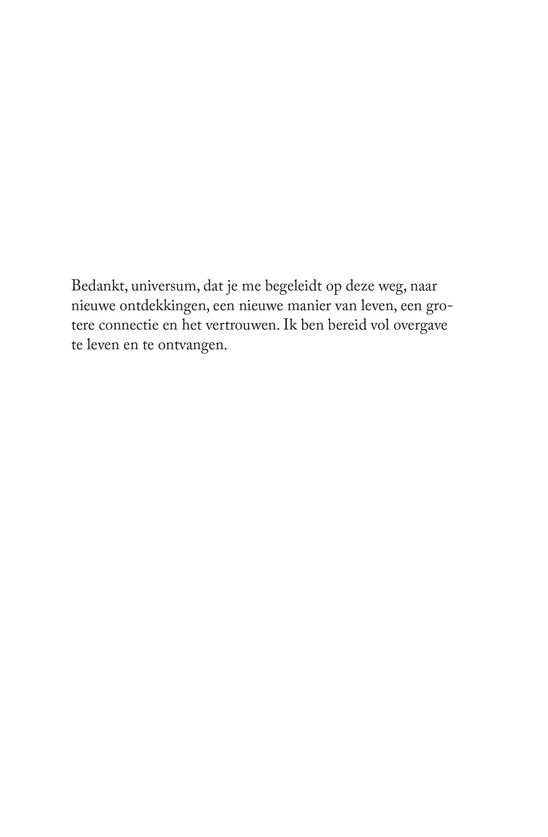 Productafbeelding 17