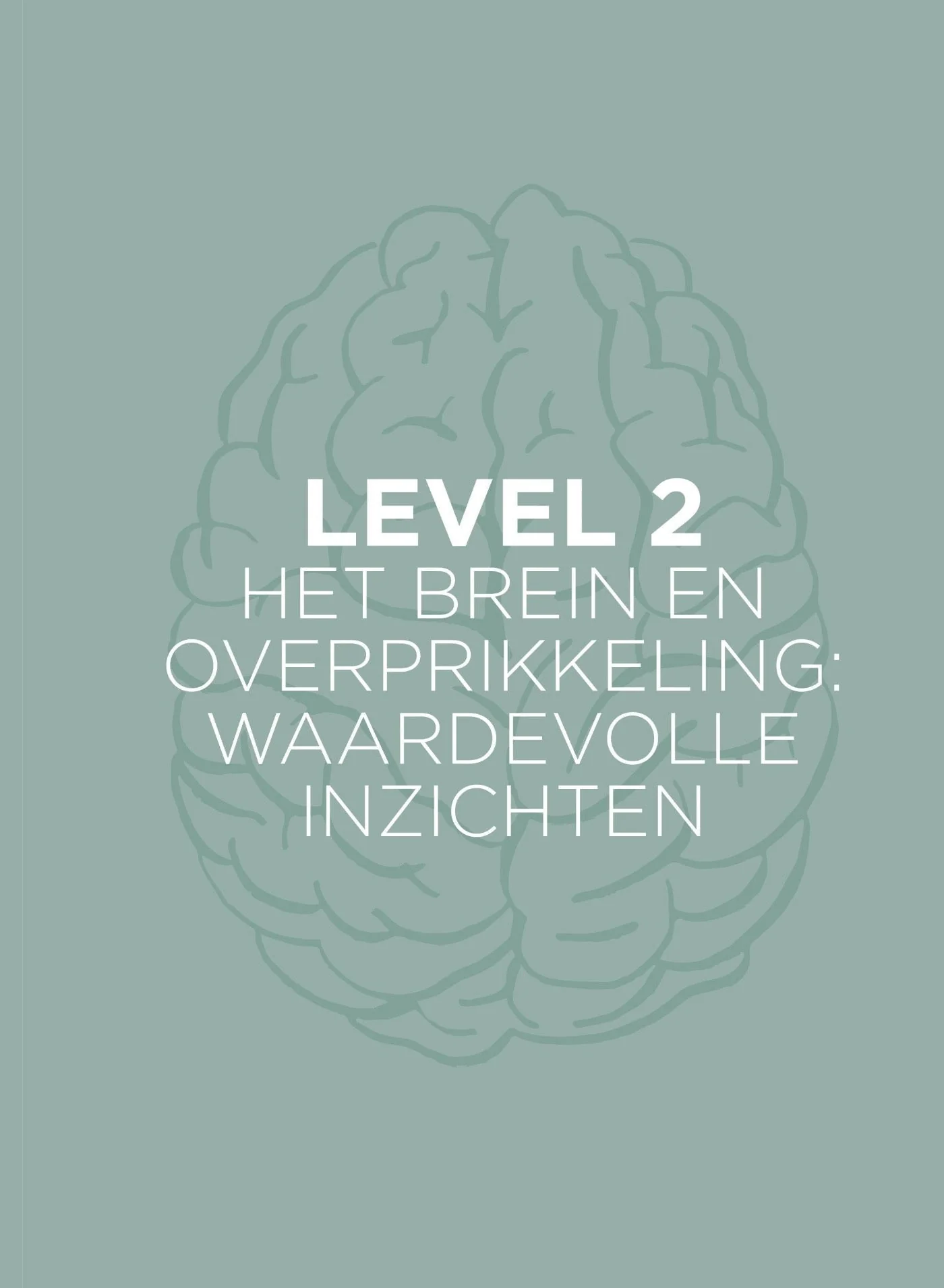 Productafbeelding 8