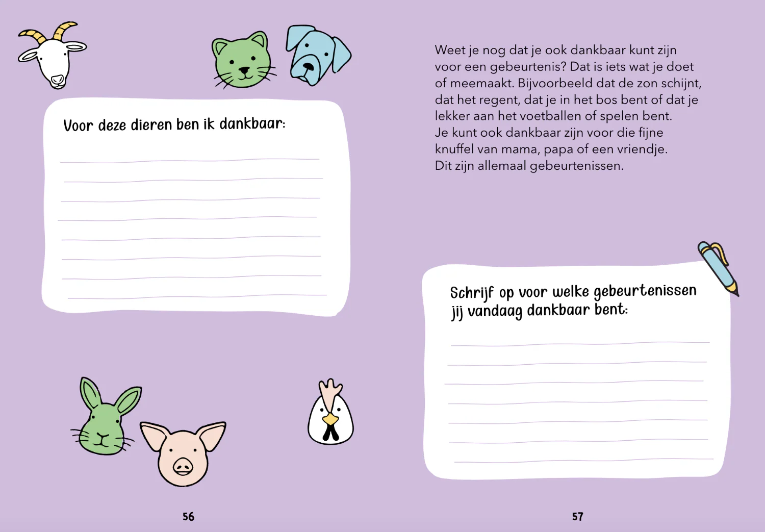 Productafbeelding 6